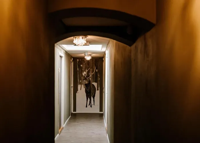 Boutique Hotel Hoog Soeren